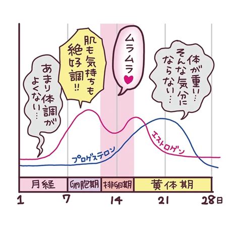 生理 と 性欲|生理中、ムラムラしたどうしてる？ 性欲が高まる理由と対処法.